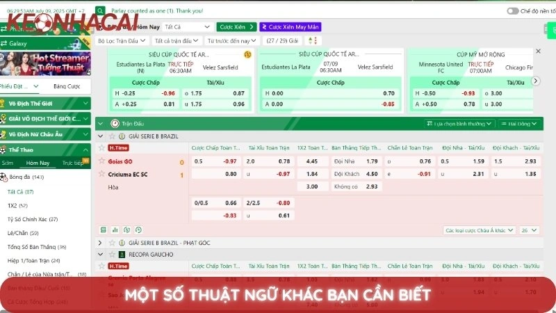 Giải mã 20+ thuật ngữ kèo nhà cái mà tân binh phải biết 4 Một số thuật ngữ khác bạn cần biết