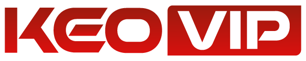 baobicasa.com